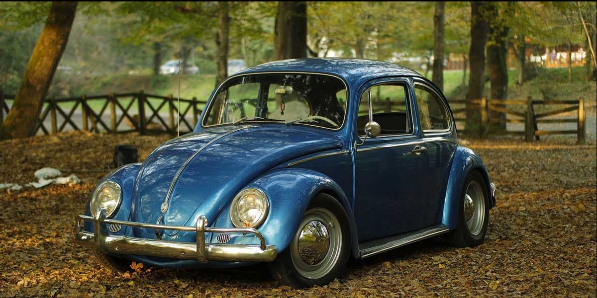 mein2