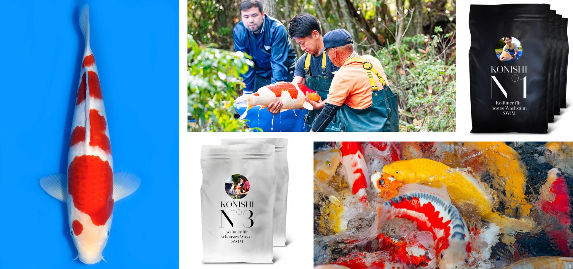 Koi Supplier